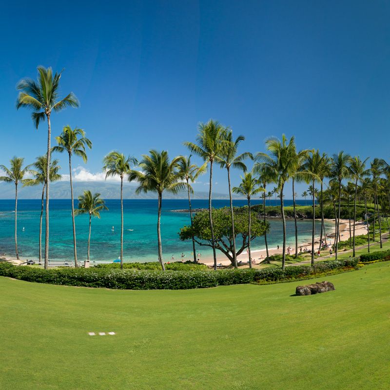 Coconut Grove Kapalua Bay